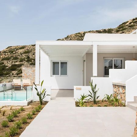 Theros Luxury Villas Damatria Exterior photo